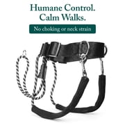 Sporn Big Dog Halter, Black, Large (19-24 Neck Size)