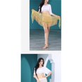 thumbnail image 5 of Belly Dance Practice Hip Scarf Triangle Scarf Beads Embroidery Tassel Waist Belt Skirts, 5 of 5