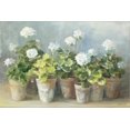 thumbnail image 2 of Art.com White Geraniums Stretched Canvas Print Wall Art by Danhui Nai, 18" x 12", 2 of 4