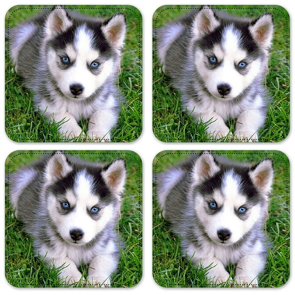 Vinyl Drink Coasters - Set of 4 - Blue Eyes Puppy