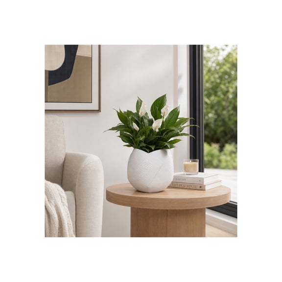 Planters and Flower Pots Home Decor - Plant Pots for Indoor and Outdoor Use - Modern Pots for Plant Stands Perfect for Patio and Garden Decor - Elevated Style for Your Favorite Plants - 7" White