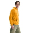 thumbnail image 3 of Hanes Unisex Adult EcoSmart Fleece Hoodie, Sizes XS-5XL, Big & Tall Sizes Available, 3 of 10