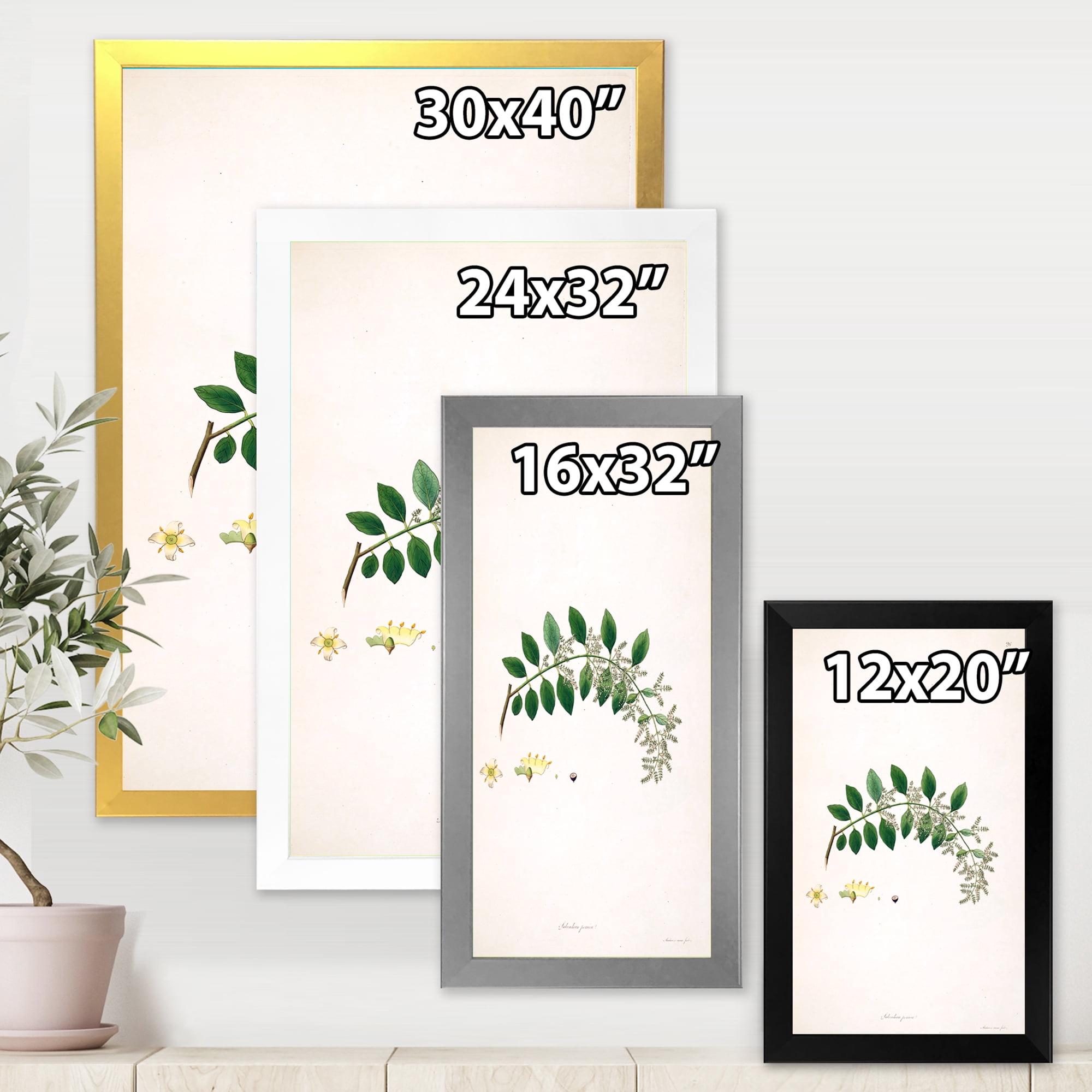 Designart 'Ancient Plant Life XVIII' Farmhouse Framed Art Print