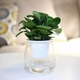 thumbnail image 3 of D-GROEE Self Watering Planter, Clear Plastic Automatic-Watering Planter Flower Pot Roud Plant Pot for All House Plants, Succulents, Herb, African Violets, 3 of 8