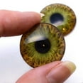 thumbnail image 3 of 5 Pairs Realistic Human Glass Eye Discounted Bundle II Set of 10 Eyes - Bulk Wholesale - Taxidermy Art Sculptures or Jewelry Making Supply, 3 of 8