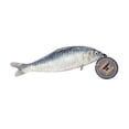 thumbnail image 1 of Iron Cat  Sardine with Catnip Pouch, 1 of 1