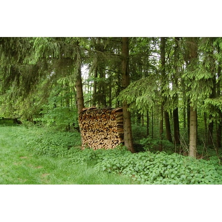 Canvas Print Firewood Combs Thread Cutting Holzstapel Stack Stretched Canvas 10 x