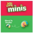 thumbnail image 3 of Lucky Charms Minis, 3 of 9