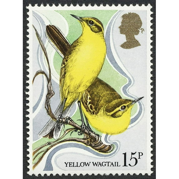 Yellow Wingtail - CANVAS OR FINE PRINT WALL ART