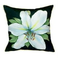 thumbnail image 2 of Betsy Drake HJ704 Casablanca Lily Throw Pillow- 18 x 18 in., 2 of 4