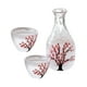 thumbnail image 5 of Juego de recipientes para Sake Macarena Jarra 1 Taza 2 Set de regalos, 5 of 8