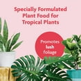 thumbnail image 4 of Miracle-Gro Tropical Houseplant Fertilizer, 8 fl. oz., 4 of 12