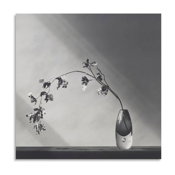 Robert Mapplethorpe Orchid (3) Canvas Famous Paintings, Wall Art Posters, Decorative Hanging Pictures Artworks Canvas Poster Room Aesthetic Wall Art Prints Home Modern Decor Gifts 16x16inch(40x40cm)