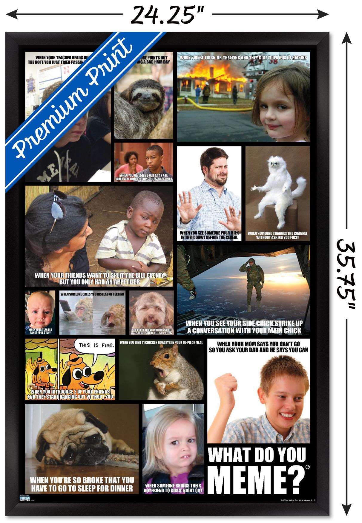 What Do You Meme - Grid Wall Poster, 22.375" x 34", Framed