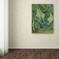 thumbnail image 3 of Trademark Fine Art 'Emperor Moth' Canvas Art by Van Gogh, 3 of 3