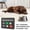 C, variant on Dog Feeding Reminder, Magnetic Refrigerator Sticker, AM/PM Pet Feeding Tracker with "Yes/No" Sliders, Funny Fridge Sign for Home Office Travel Indoor Outdoor