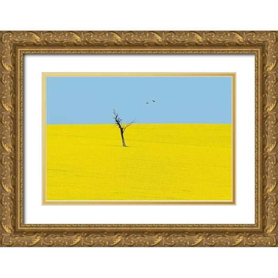 Ivylu 32x23 Gold Ornate Wood Framed with Double Matting Museum Art Print Titled - Canola Flowers