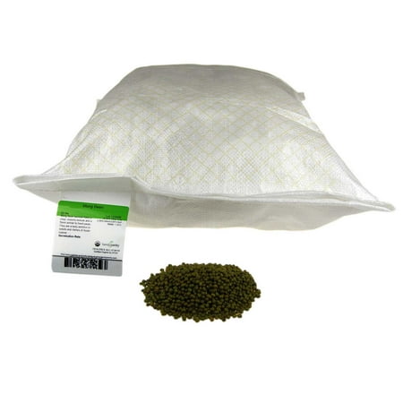Certified Organic 25 Lb Box Mung Bean Sprouting Seeds - 25 Lb Bulk - Organic, Non-GMO - Sprouts, Food Storage, Vegetable Garden ()