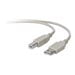 Belkin PRO Series USB cable - 10 ft - B2B