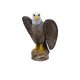 thumbnail image 1 of 1x jardín águila plástico realista halcón águila estatua espantapájaros jardín ahuyentador de pájaros Anti paloma asustar pájaros/paloma/cuervo TUNC Sencillez, 1 of 4