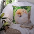 thumbnail image 3 of Carolines Treasures BB9856PW1414 Pomeranian St Patricks Fabric Decorative Pillow  14Hx14W multicolor, 3 of 4
