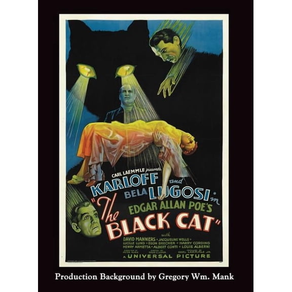 The Black Cat (Hardback)
