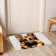 thumbnail image 6 of Collie Non-Slip Polyester Door Carpet Kitchen Mat Door Mat, Machine Washable, 6 of 6