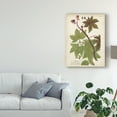 thumbnail image 3 of Trademark Fine Art 'Weinmann Tropical Plants II' Canvas Art by Johann Weinmann, 3 of 4