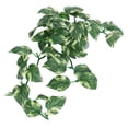 thumbnail image 4 of Plastic Plant Rattan, Environment -Friendly Aquatic Plant Simulated Plant Rattan, Safe Reptilian Fish Tank for Aquarium, 4 of 7