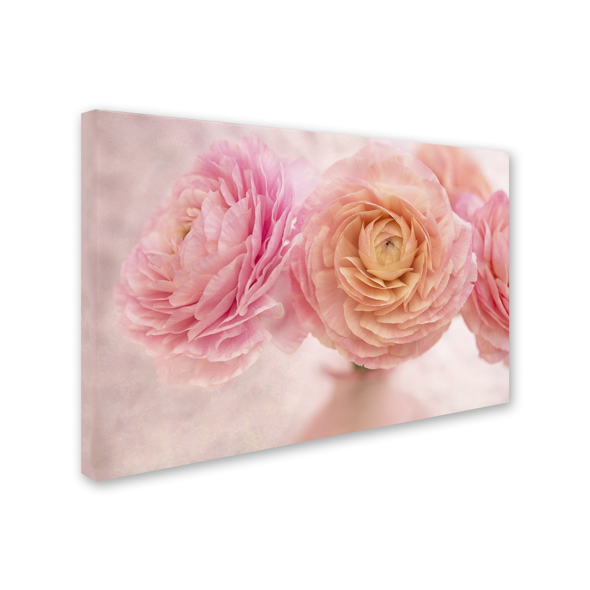 Trademark Fine Art 'Pink Persian Buttercup Bouquet' Canvas Art by Cora Niele