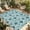 Aque, variant on Aqua Flower Outdoor Rug for Patio/Deck/Porch, Non-Slip Large Area Rug 6 x 9 Ft, Country Watercolor Floral Vintage Plant Indoor Outdoor Rugs Washable Area Rugs, Reversible Camping Rug Carpet Runner