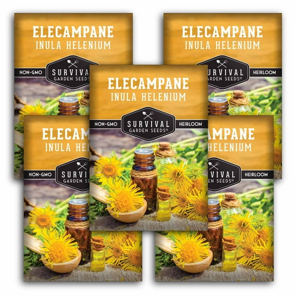 5 Packs Elecampane Seeds - Heirloom Full Sun Perennial Flower Seeds