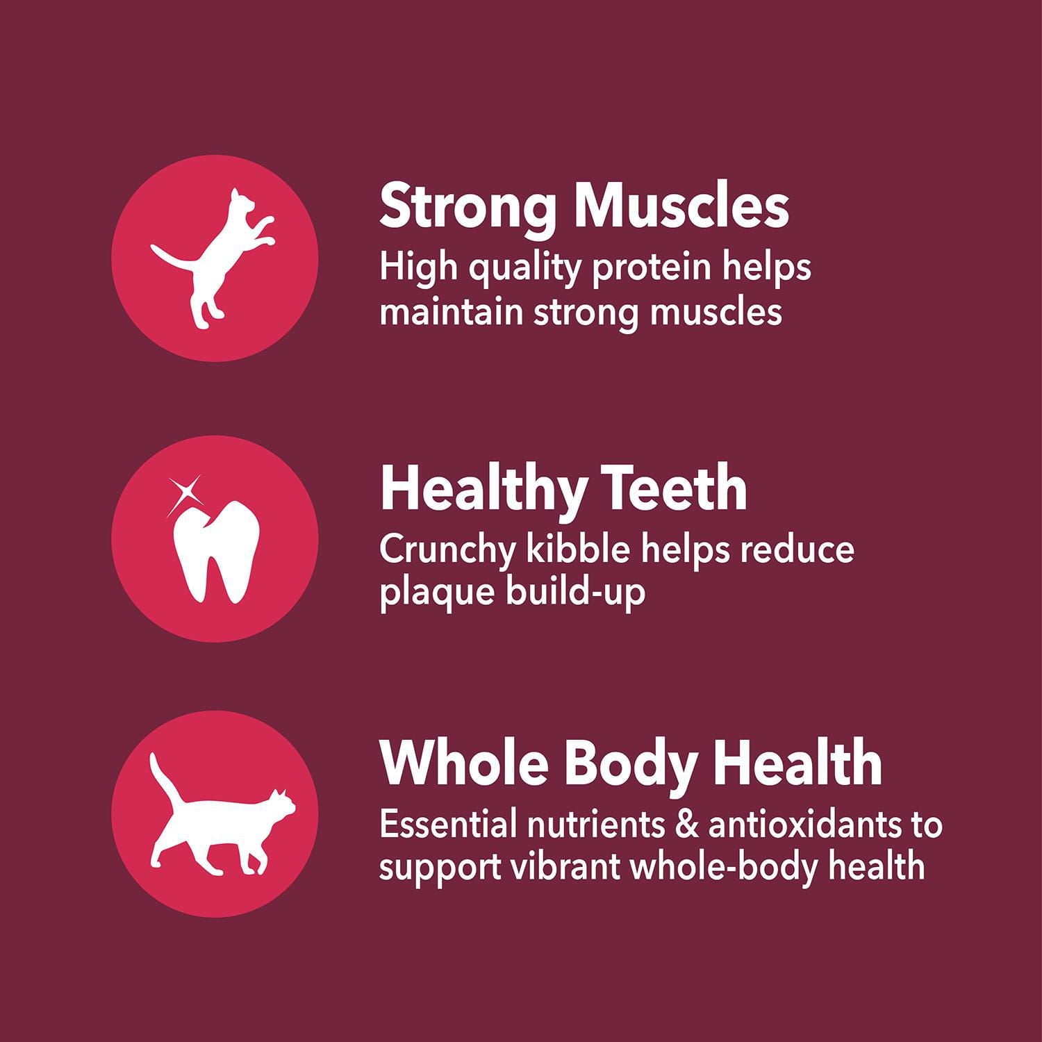 Iams Proactive Health Healthy Enjoyment Chicken & Beef Adult Dry Cat Food, 1.36-2.72kg