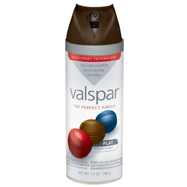 Valspar Marque 410-85046 SP 12 Oz Labrador Brun Plat Premium Peinture en Aérosol Émail - Pack de 6