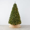 thumbnail image 2 of Árbol de Navidad Best Choice Products de 1,4 m con 200 luces, 2 of 7