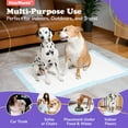 thumbnail image 3 of PETSWORLD XXXL Enormous Pet Potty Pads, 37x54 inch, 100 Count, Tear Resistant and Extremely Absorbent, Optional Adhesive Tape, 3 of 7