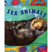 Sea Animals (Board book)