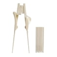 thumbnail image 3 of MERIGLARE Training Chopsticks Both Left Right Hands Easy Grip Utensils Easy to Carry Aid, 3 of 9