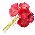 thumbnail image 3 of Bearachild Paquete de crisantemo artificial Flor de simulación Decoración de PU Paquete de flores Decoración para el hogar Flores artificiales Rosa roja Bearachild HA7497-09B, 3 of 6