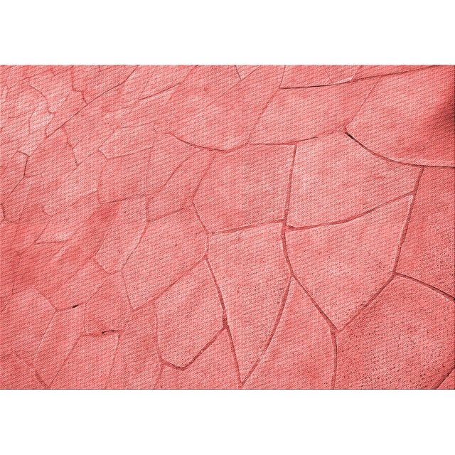 Ahgly Company Machine Washable Indoor Rectangle Transitional Light Coral Pink Area Rugs, 4' x 6'