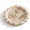 Beige Travertine, variant on Calacatta Viola Marble Scallop Edge Small Decorative Tray 6.3 Inch