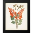 thumbnail image 2 of Unknown 12x14 Black Modern Framed Museum Art Print Titled - Botanical of the Tropics II, 2 of 5