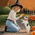thumbnail image 4 of Pet Toys Interactive Halloween Design Soft Durable Plaything for Cats - for Indoor Activities Entertainment and Mental Stimulation, 4 of 4