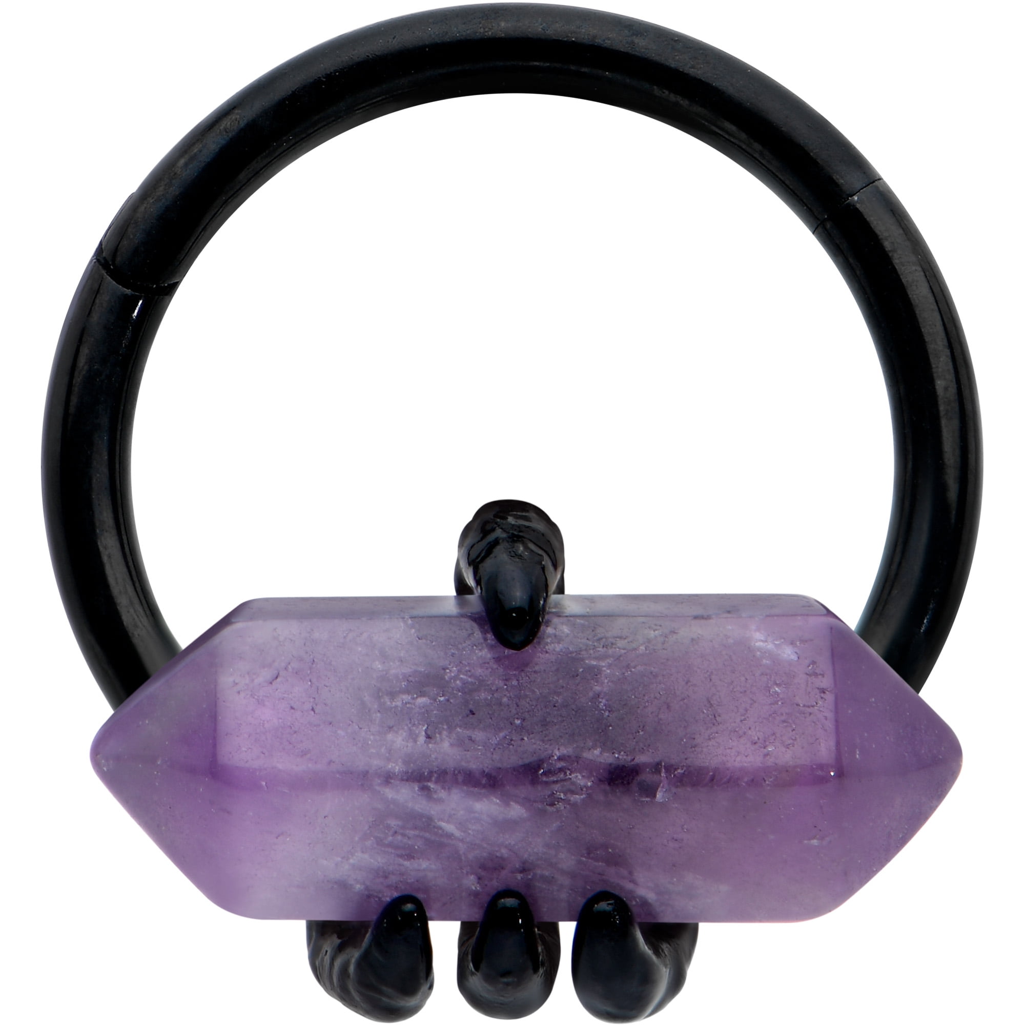 Body Candy Womens 16G Steel Black Hinged Segment Ring Cartilage Nipple Ring  Claw Amethyst Obelisk Nose Hoop 3/8