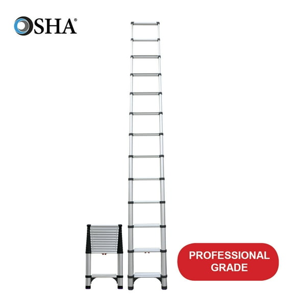 Telesteps 12.5ft Pro Telescoping Extension Ladder – 16ft Reach, 300lb (1600EP)