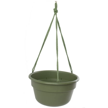 UPC 811214020001 product image for Bloem Dura Cotta Self Watering Hanging Basket Planter 12  Living Green | upcitemdb.com
