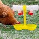 thumbnail image 4 of unbranded 10Ud Bebedero Automático Para Gallinas Con De Bola Doble Para Granja Fácil De Instalar, 4 of 8