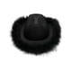 thumbnail image 2 of Cowgirl Hat With Boa Fluffy Brim Adult Size Hat For Bachelorette Costume, 2 of 5