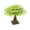 Big Tree Apply Green, variant on Big Tree Building Sets Block Toys Rainforest Garden Park Trees and Plants Flowers Classic Botanical Accessories Bricks for Kids Compatible Major Brands