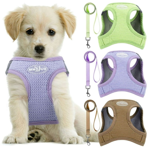BadPiggies No Pull Dog Harness with Leash Set, No Choke Reflective Dog Vest Adjustable Soft Padded Pet Vest for Small Dogs